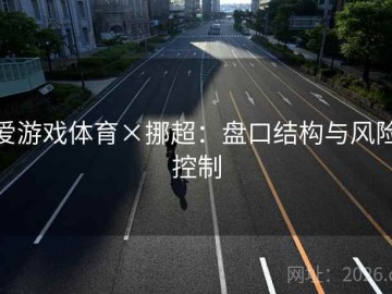 爱游戏体育×挪超：盘口结构与风险控制