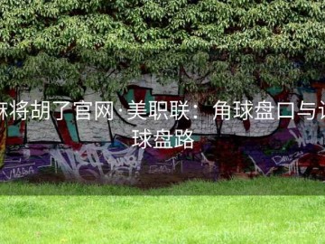 麻将胡了官网·美职联：角球盘口与让球盘路