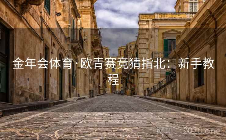 金年会体育·欧青赛竞猜指北：新手教程