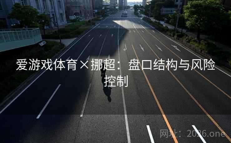 爱游戏体育×挪超:盘口结构与风险控制 爱游戏体育×挪超:盘口结构与风险控制