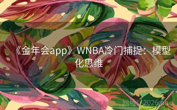 《金年会app》WNBA冷门捕捉:模型化思维 《金年会app》WNBA冷门捕捉:模型化思维