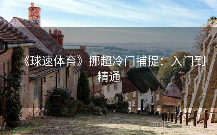 《球速体育》挪超冷门捕捉：入门到精通