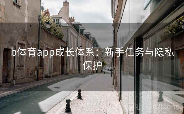 b体育app成长体系：新手任务与隐私保护
