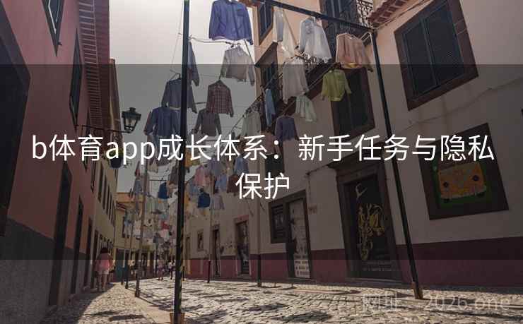 b体育app成长体系：新手任务与隐私保护