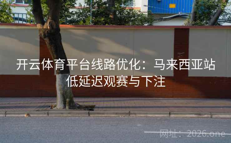 开云体育平台线路优化：马来西亚站低延迟观赛与下注