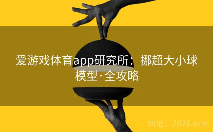 爱游戏体育app研究所:挪超大小球模型·全攻略 爱游戏体育app研究所:挪超大小球模型·全攻略